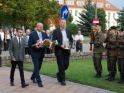 w dowod pamieci pracy sapera 10